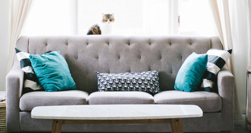 English or Club Sofa Set