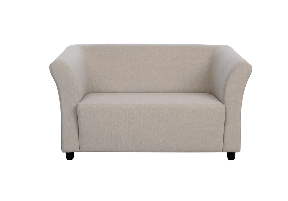 Paris two seater gray colour sofa by spns (without cusion)
